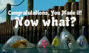nowwhat1.png