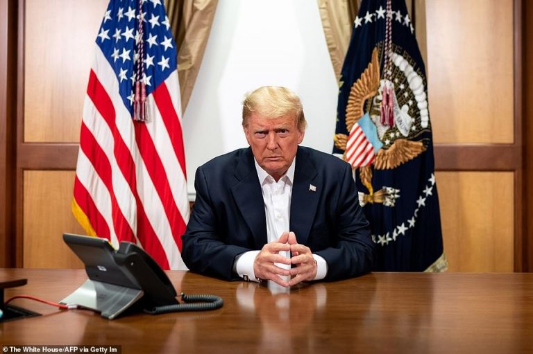 Why I Like Donald Trump