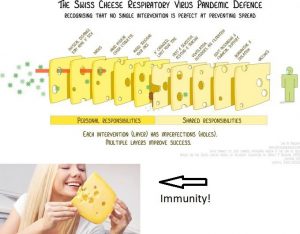 Swiss cheese v immunity.jpg