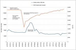 hospital occupancy and deaths2.jpg
