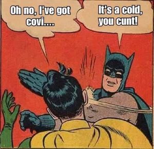 Batman and Robin Covid.jpg