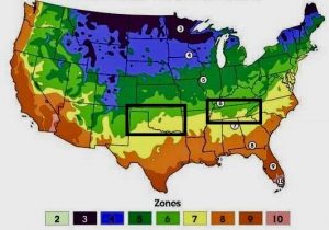 CLimate.jpg