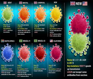 viruses.jpg