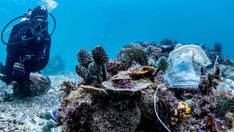 Philippine Reef Covered with Used Face Masks