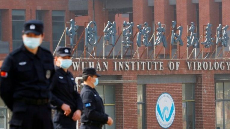 The WIV Was the Main Partner in the German-Chinese Virology Network