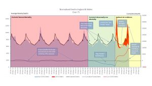 Excess Deaths Analysis 1.jpg
