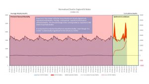 Excess Deaths Analysis 1.jpg