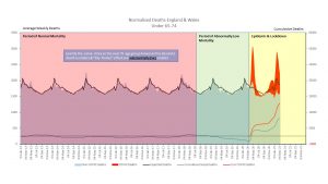 Excess Deaths Analysis 1.jpg