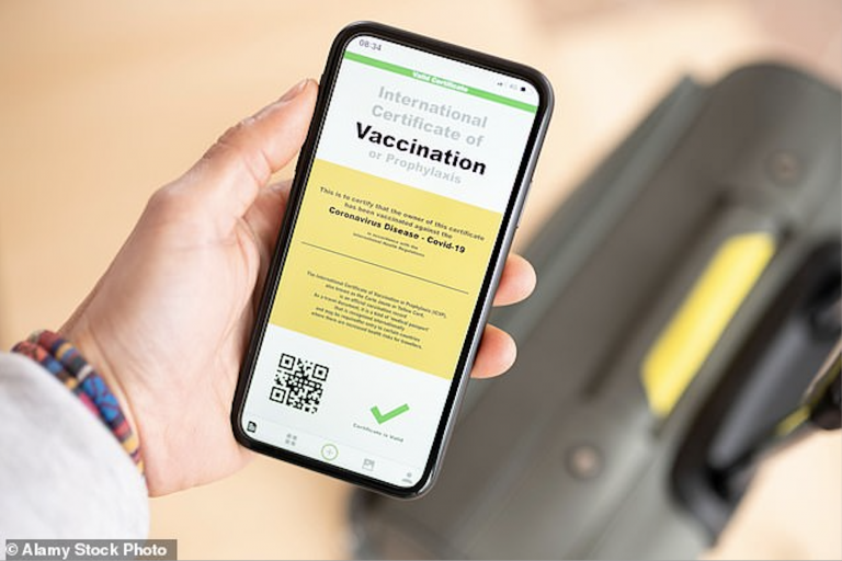 MEPs Served With Notices of Liability Ahead of Vaccine Passport Vote