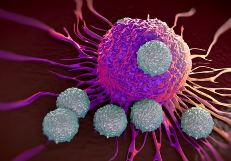 New Study: Exposure to COVID-19 Confers Immunity Even When Not Infected
