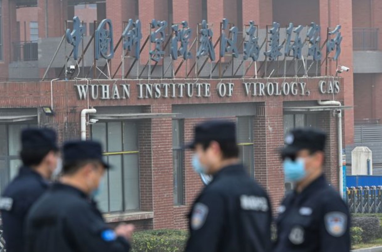‘Engineered’, Yes,…But In The Wuhan Lab? WIV-1