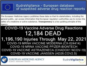 22052021-eu-injuries.jpg 12184 dead.jpg