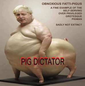 PIG.jpg