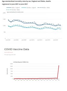 Age standardised v vaccine.jpg