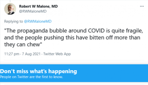 Screenshot 2021-08-08 at 09-09-03 Robert W Malone, MD on Twitter.png