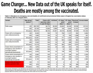 UK---Deaths-amongst-vaccinated.jpg