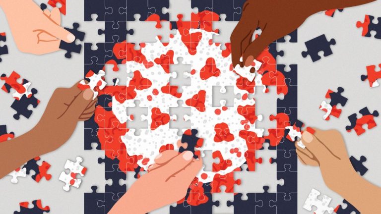Assembling Covid Jigsaw Pieces Into a Complete Pandemic Picture