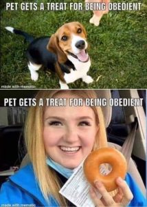 pet treat.jpg