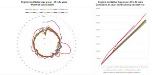 12th-October-45-64-age-group.jpg