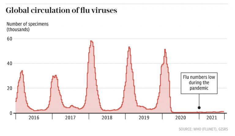 Flu Deaths Could Hit 60,000 this Winter Due to Lockdowns