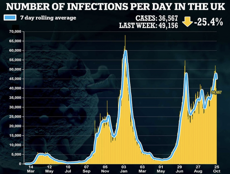 Daily Cases Continue to Fall