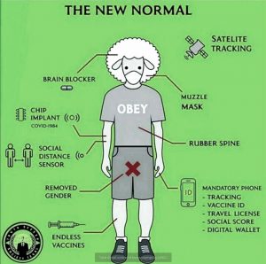 The new normal Human.jpg