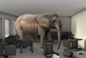 elephant.JPG