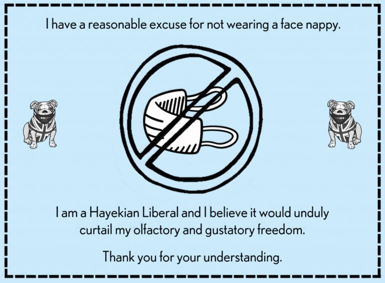 Psychology Student Looking For Non-Mask Wearers to Interview For Dissertation