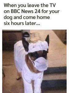 1633204587553.jpg