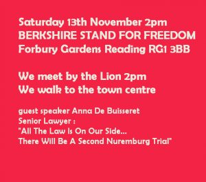 Berkshire Stand for Freedom 13th November 2021.jpg
