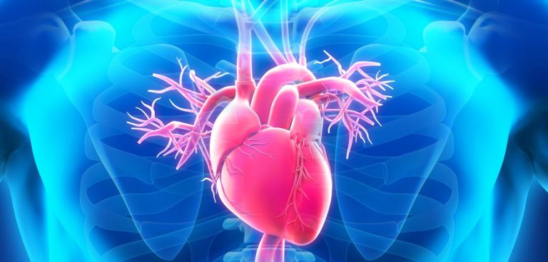Record Number of People Waiting for Vital Heart Scans Due to NHS Backlog