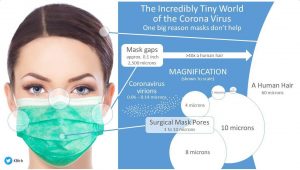 Masks v COVID virus.jpg