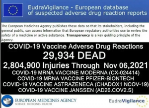 Screenshot_2021-11-16 29,934 Deaths 2,804,900 Injuries Following COVID Shots in European Database of Adverse Reactions - Eu[...].PNG