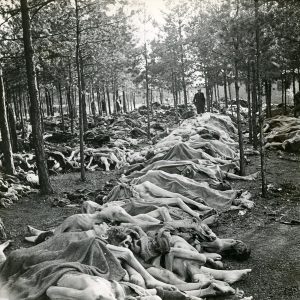 The Holocaust.jpg
