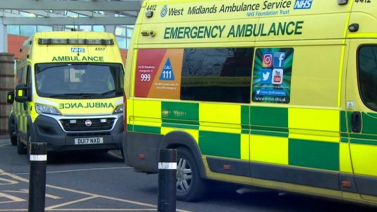 Excess Non-Covid Deaths Top 15,300 in 17 Weeks as Mysterious Wave of Heart Deaths Continues
