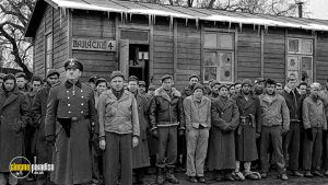 covidstalag.jpg