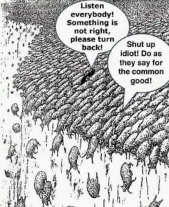 Covid sheep falling over cliff.jpg