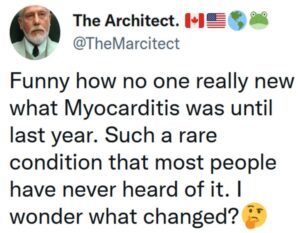 Myocarditis.jpg