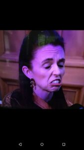 NZ premier.jpg