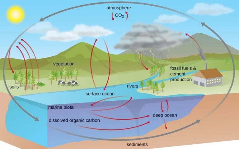 Two New Science Papers Cast Further Doubt on Human Contribution to Climate Change
