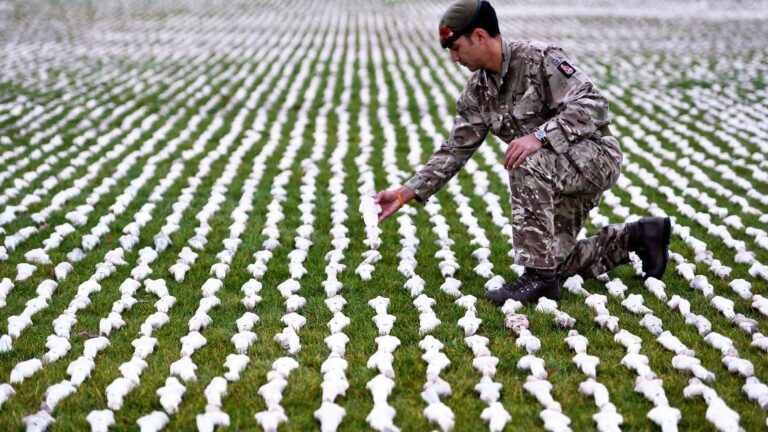 We Will Remember You