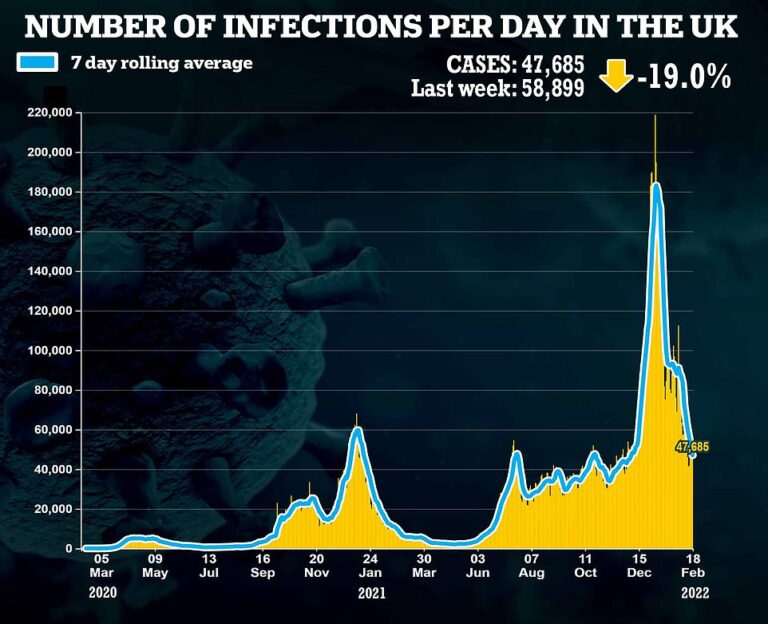 Covid Reported Infections Plunge by Another 20% in a Week to Lowest Level Since Start of December