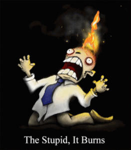 The stupid.gif