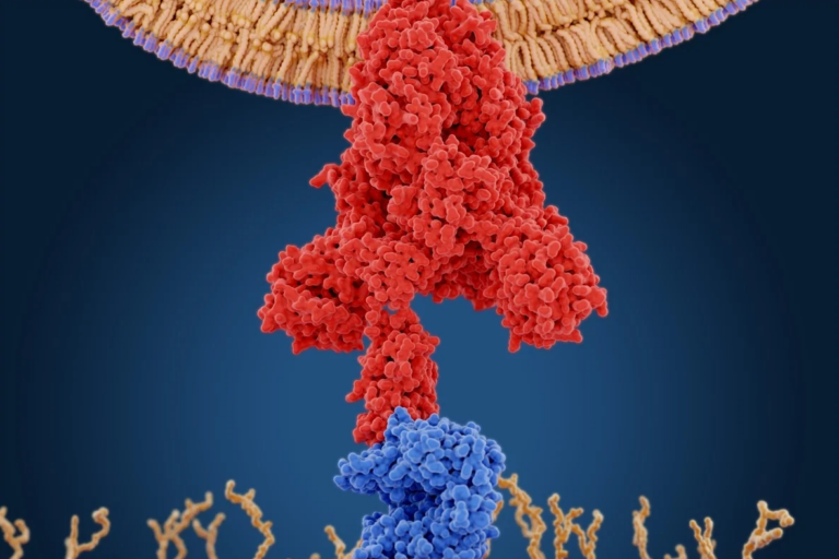 Coronavirus: Key Genetic Sequence for Furin Cleavage Site Patented by Moderna in 2016