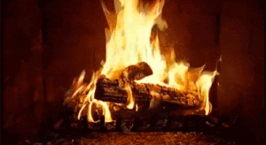 fire2.gif