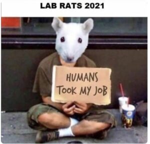 https _bucketeer-e05bbc84-baa3-437e-9518-adb32be77984.s3.amazonaws.com_public_images_148468ad-5f29-45a3-b0a1-eec3b76d52c2_830x798.jpg