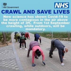 Crawl and save lives.jpg