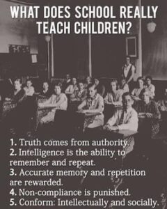 school indoctrination.jpg