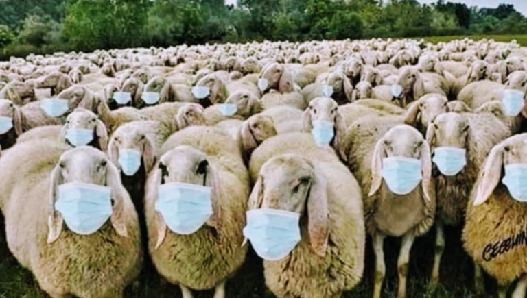 The Face Mask Cult