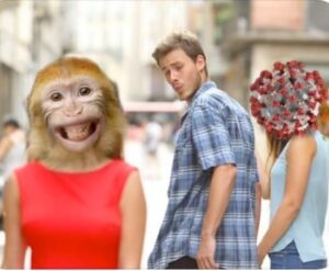Looking for the next big thing.jpg